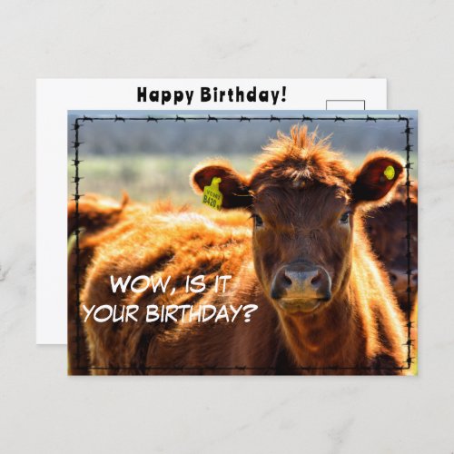 Funny Happy Birthday Country Mail Tales From Farm  Postcard