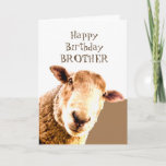 Funny Happy Birthday Ewe are BEST BROTHER EVER Card<br><div class="desc">Funny Sheep Happy Birthday  BROTHER Ewe are the BEST  BROTHER EVER  Humorous Card</div>