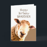 Funny Happy Birthday Ewe are BEST BROTHER EVER Card<br><div class="desc">Funny Sheep Happy Birthday  BROTHER Ewe are the BEST  BROTHER EVER  Humorous Card</div>