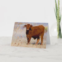 Funny Happy Birthday from Cute Young Red Cow