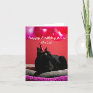 Funny Happy Birthday from the Cat Holiday Card