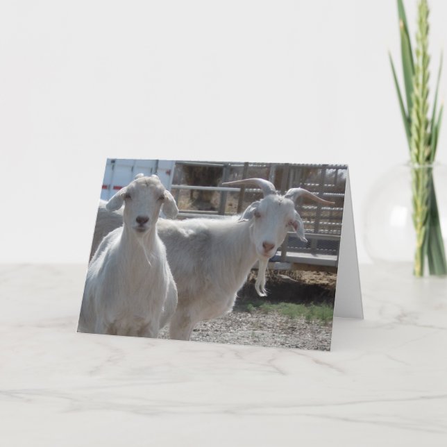 Funny Happy Birthday Goats Card (Front)