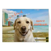 happy birthday funny dog lab