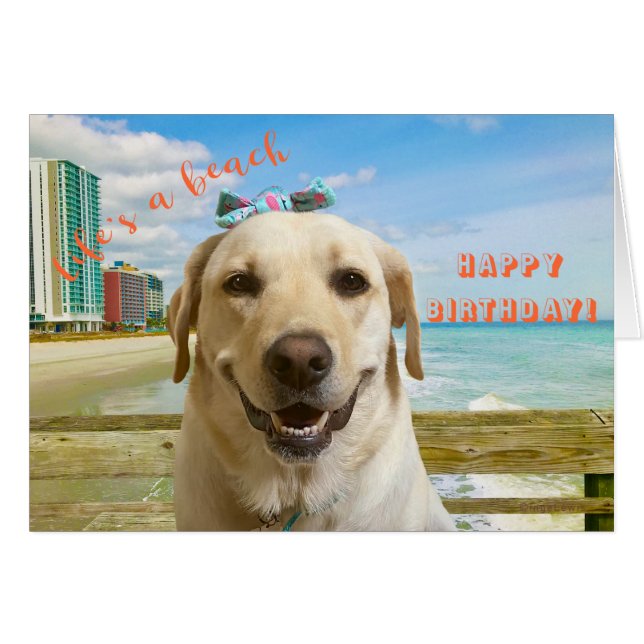 Funny Happy Birthday Labrador Dog at Beach (Front Horizontal)
