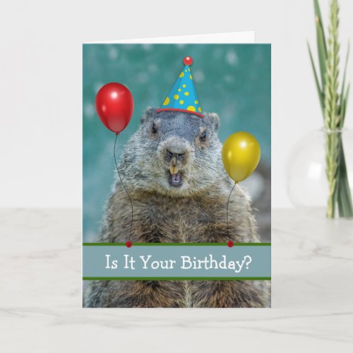 Funny Happy Birthday on Groundhog Day Again