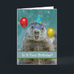 Funny Happy Birthday on Groundhog Day Again Card<br><div class="desc">Funny Happy Birthday on Groundhog Day, paper greeting card. Is it your birthday? Again? Card features a photograph of a groundhog wearing a birthday party hat and flanked by a red and yellow balloon. Customize the front and interior text as you like before purchase. Art, image, and verse copyright ©...</div>
