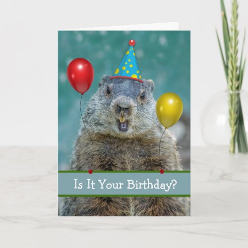 Funny Happy Birthday on Groundhog Day Again Card