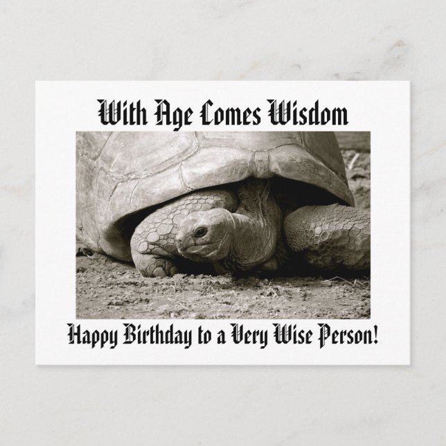 Funny Happy Birthday Postcard with old tortoise. (Front)