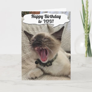 Personalized Funny Singing Cat Birthday Gifts On Zazzle