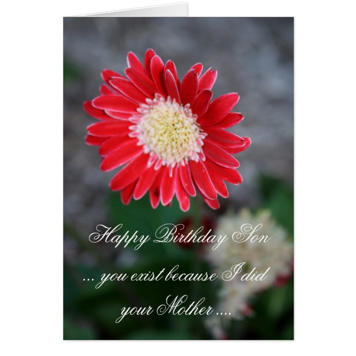 Funny Happy Birthday Son Greeting Card