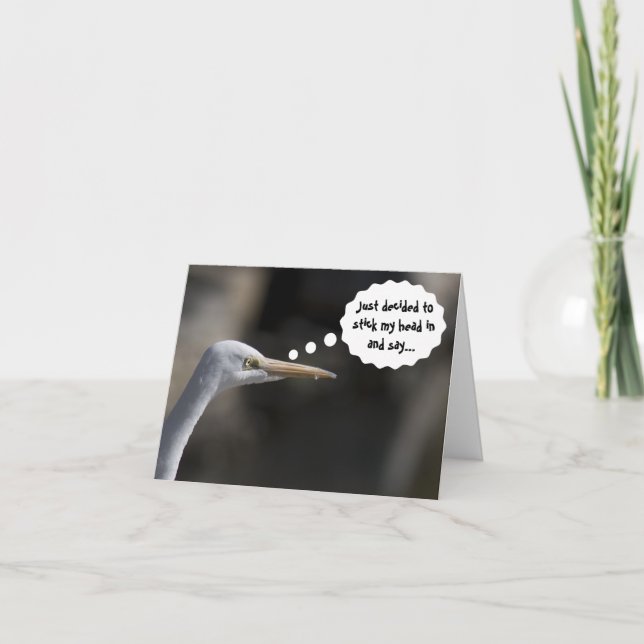 Funny Happy Birthday White Crane Bird Card (Front)