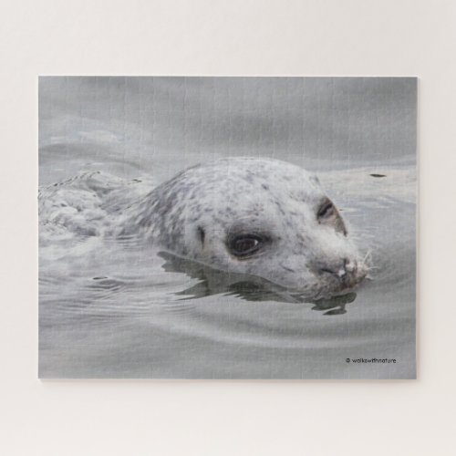 Funny Harbor Seal Coyly Winks at Photographer Jigsaw Puzzle