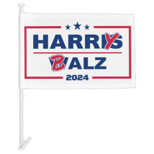 Funny Harris Walz 2024 Harry Balz 2024 Car Flag