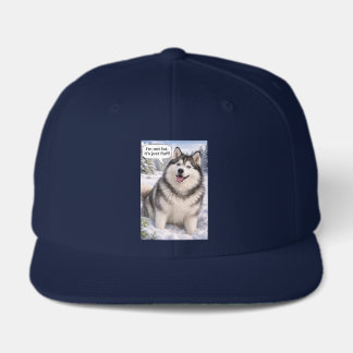 Funny hat