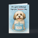Funny Havanese Dog Birthday with Custom Name Age Card<br><div class="desc">A sweet Havanese pup beams behind a frosted blue birthday cake, complete with a single candle and a customizable age and personalize the recipient’s name. The front text says, “It’s your birthday! Hope you ‘Havanese’ day, ” adding a fun dog-themed pun that’s both clever and warm. This card is ideal...</div>