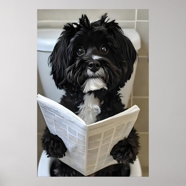 Funny Havanese Dog Print, Newspaper Bathroom Poster (Front)