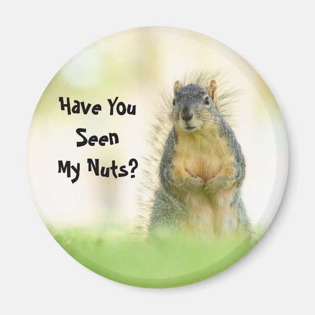 Funny Have You Seen My Nuts Squirrel Magnet (Front)