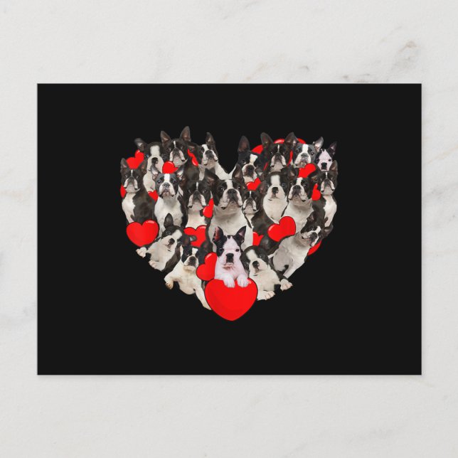 Funny Heart Love Boston Terrier Valentines Day Postcard (Front)