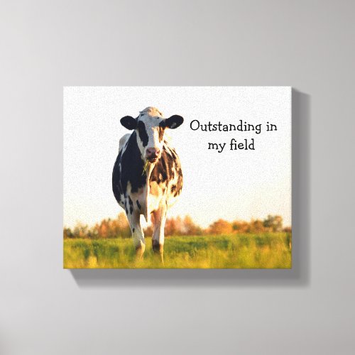 Funny Heifer Out Standing in Field Canvas Print