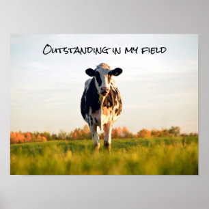 Funny Heifer Outstanding in My Field Poster