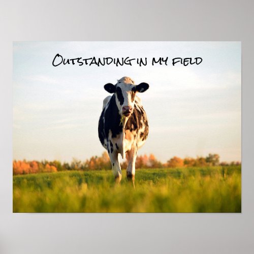 Funny Heifer Outstanding in My Field Poster