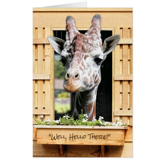 Funny Hello Giraffe in Window Thinking of You Card (Front)