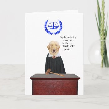 Funny Here Comes The Judge Dog Birthday Card by myrtieshuman at Zazzle