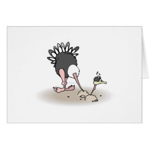 funny hiding ostrich cards