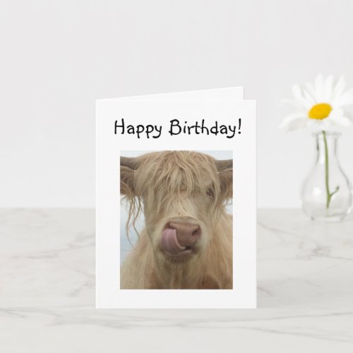 Funny Highland Cow Birthday Card