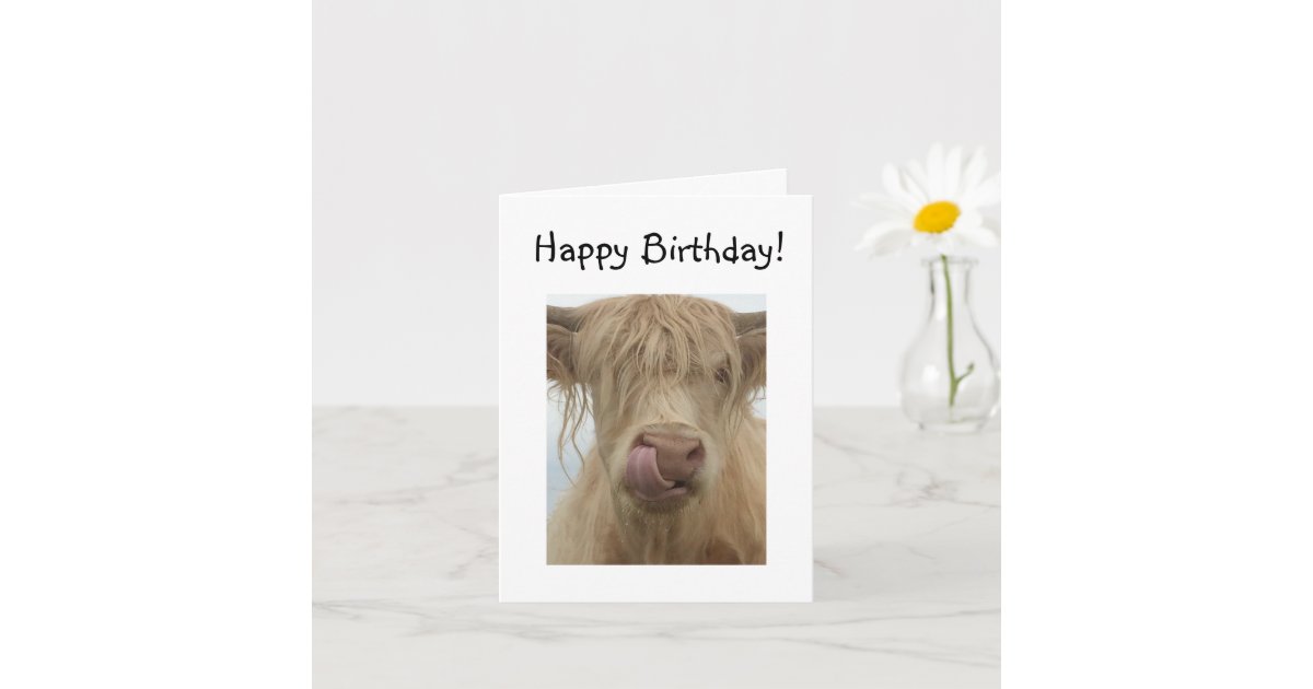 Funny Highland Cow Birthday Card | Zazzle