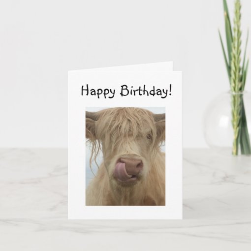 Funny Highland Cow Birthday Card | Zazzle