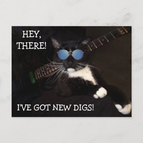 Funny Hip And Cool Cat Moving Postcard