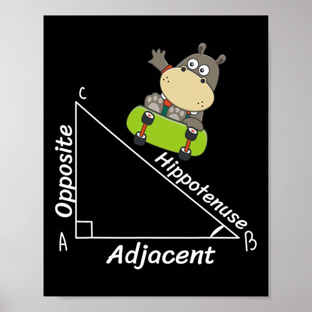 Funny Hipo Skater Geometry Hypotenuse Math Boy Gir Poster (Front)