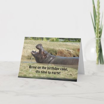 Funny Hippopotamus Birthday Greeting Card by seashell2 at Zazzle