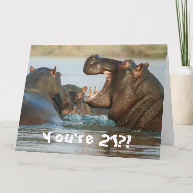 Funny Hippopotamus Hippo Happy 21st Birthday Card (Front)