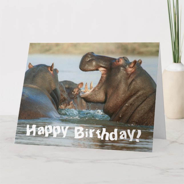 Funny Hippopotamus Hippo Happy Birthday Card (Front)