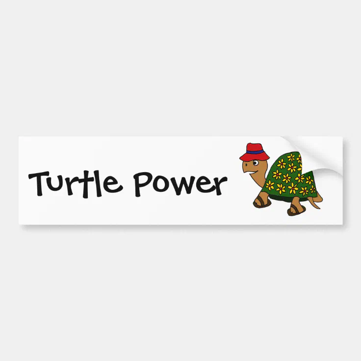 Cartoon Turtle Funny Car Bumper Sticker Decal 5" x 4" 
