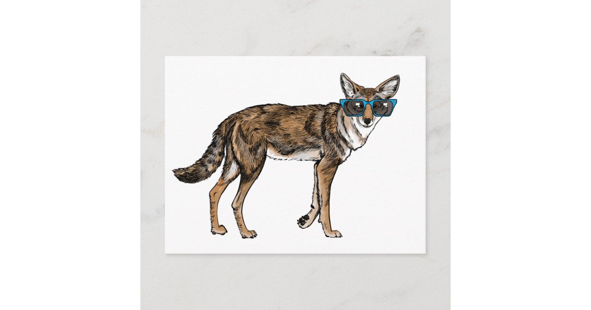 Raptor – Coyote Eyewear