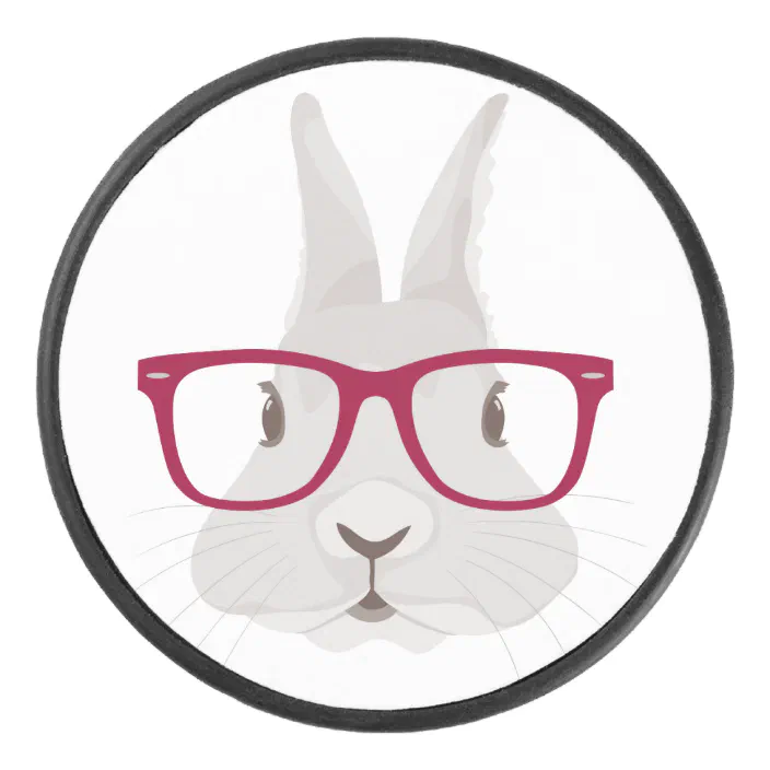 Hipster Rabbit Wearing Pink Glasses Set of 4 Coasters 