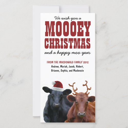 Funny Holiday Cow Couple Mooey Christmas