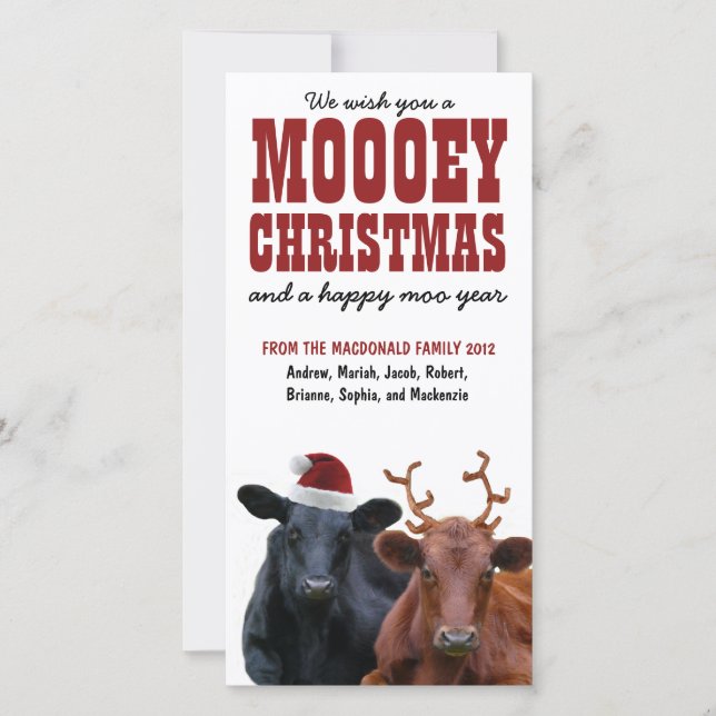 Funny Holiday Cow Couple Mooey Christmas Card (Front)