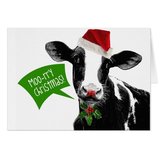 Funny Holiday Cow Merry Moo-rry Christmas Card