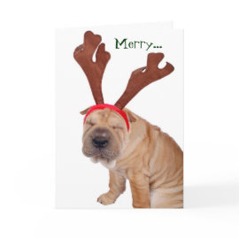 Funny Holiday Greetings from the Dog card