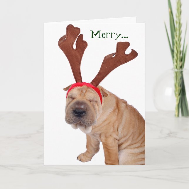 Funny Holiday Greetings from the Dog Card (Front)