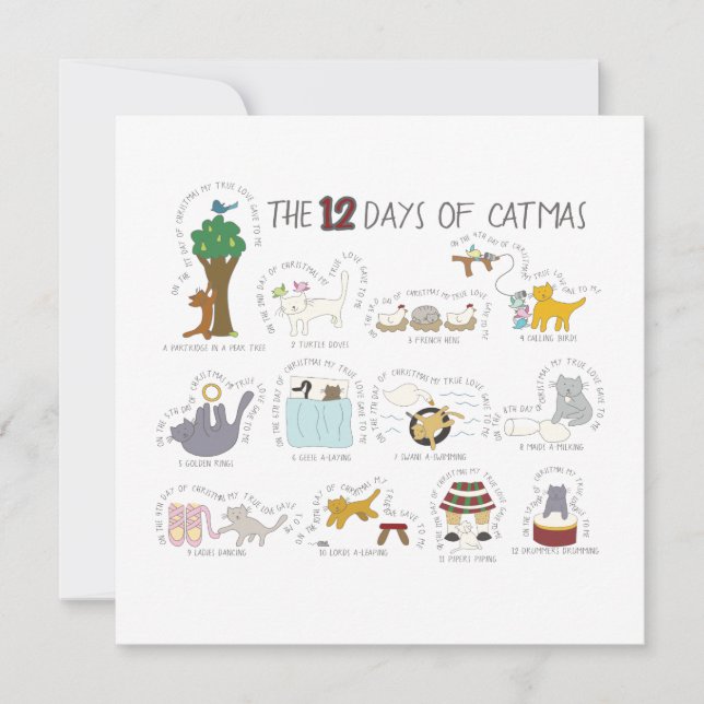 Funny Holiday Photo Card for Cat Lovers (Front)