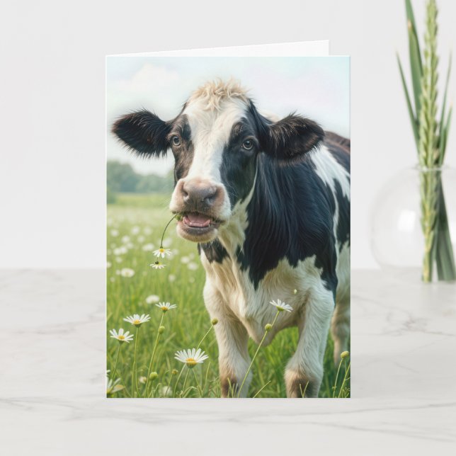 Funny Holstein Cow for Birthday Card (Front)