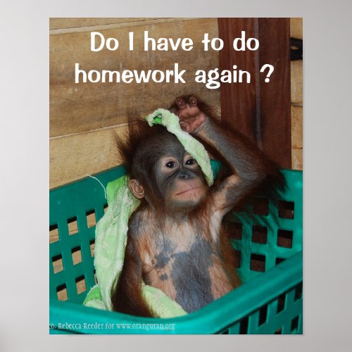 Funny Homework with Baby Orangutan Poster