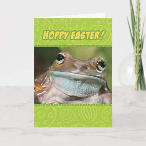 Funny Hoppy Easter From A Frog Easter Card