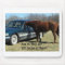 Funny Horse "300 Horse"