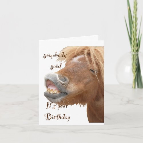 Funny Horse Birthday Card